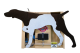 Asher Remote Backing Dog - GSP