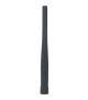 Pathfinder2 Transmitter Antenna