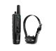 Garmin Pro 550