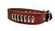 Leather Studded Collar
