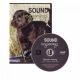 Sound Beginnings DVD