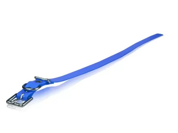 Dogtra replacement collars shop