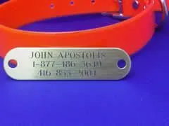 Dog collars with brass name plates cheap