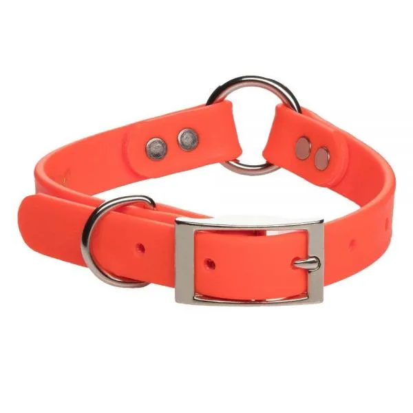 Orange hunting sales dog collar
