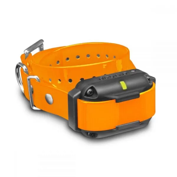Dogtra edge collar deals