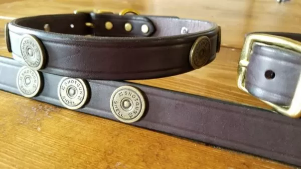 Shotgun shell 2025 dog collar