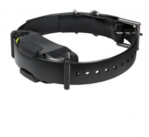 Dogtra 3500x outlet
